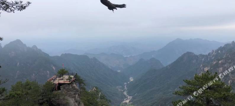大明山山沟沟农家乐图片