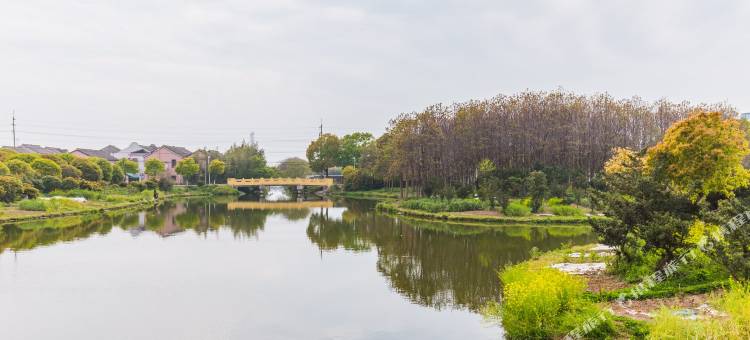 上海鑫悦宾馆(华夏东路地铁站店)图片