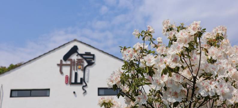 慈溪丹橘山房民宿图片