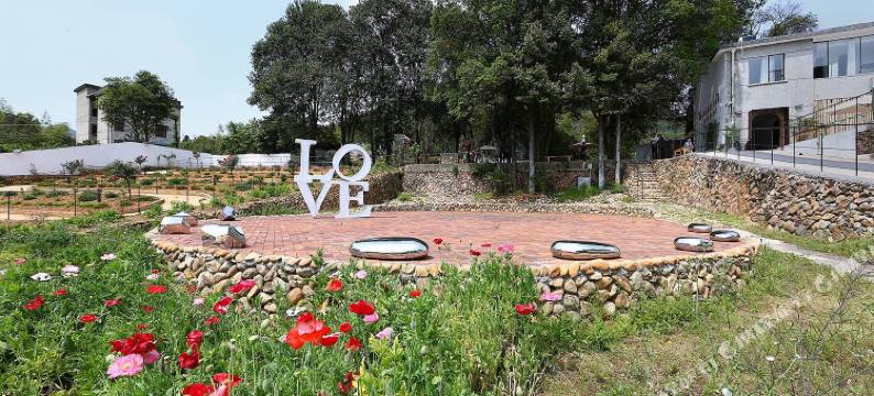 庆元菇语精品民宿图片