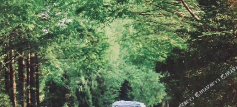 黄山黟县柒零微舍图片