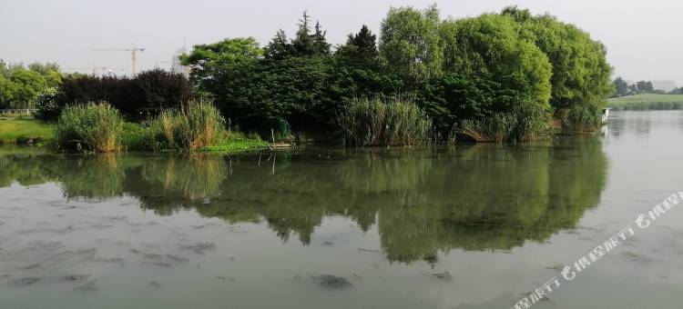苏州观前街拙政园附近四季如春的高科技住宅公寓(3号店)图片