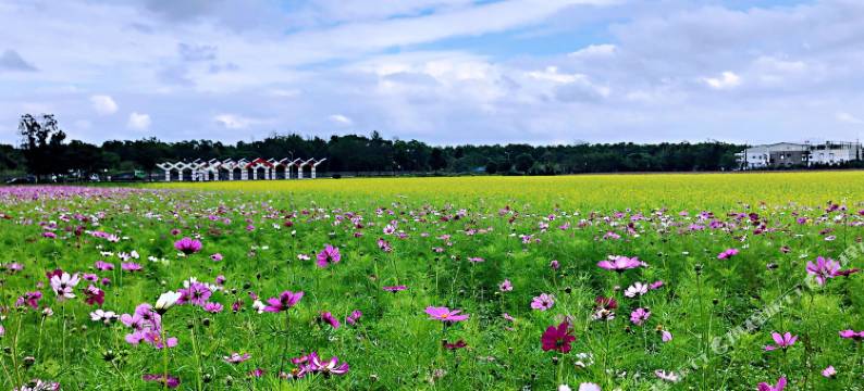 花莲七星潭夏屋图片