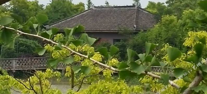 上海西水三梦生态农庄图片