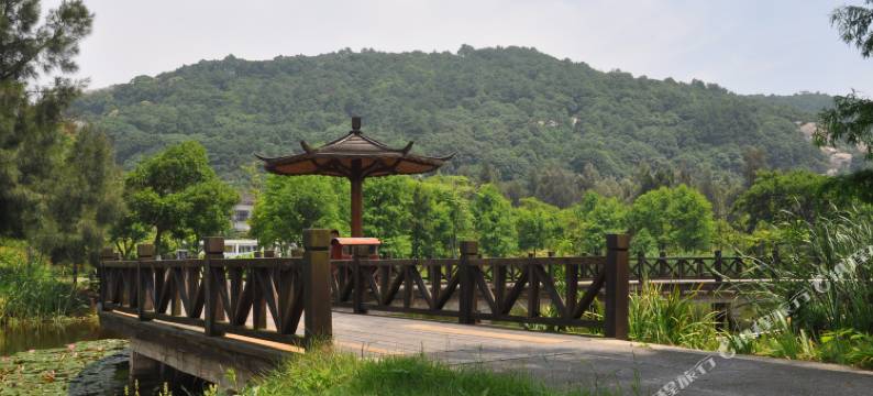 普陀山佳佳驿站图片