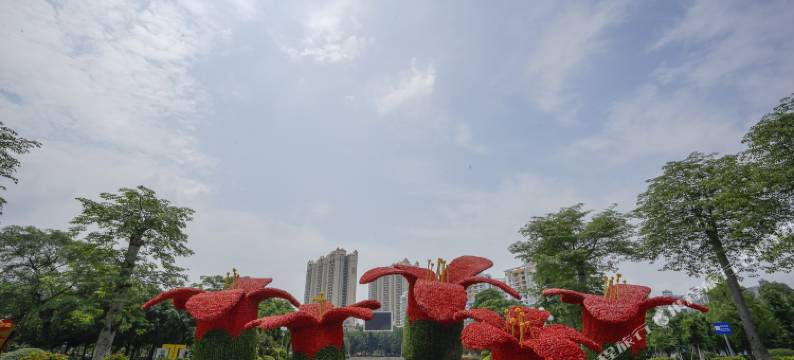 柚子酒店(玉林文化广场店)图片