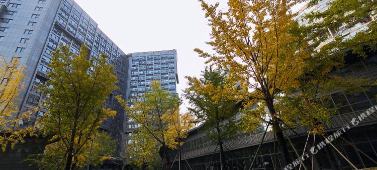 游子假日酒店(杭州火车东站西广场店)图片