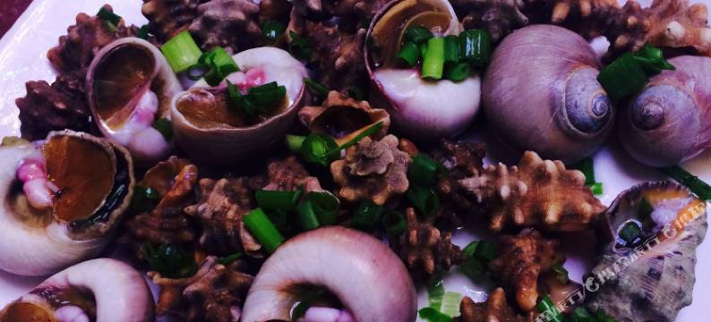 枫林海岸民宿(朱家尖东沙海滨浴场店)图片