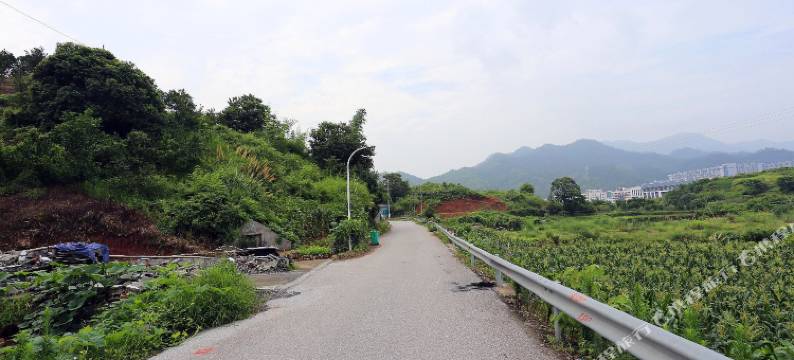 千岛湖塘边农庄图片