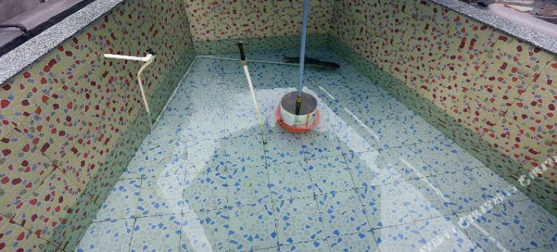 千岛湖塘边农庄图片