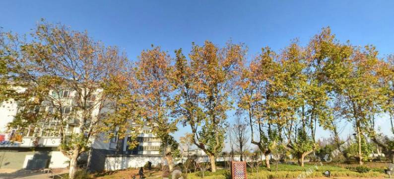 镇江润家宾馆图片