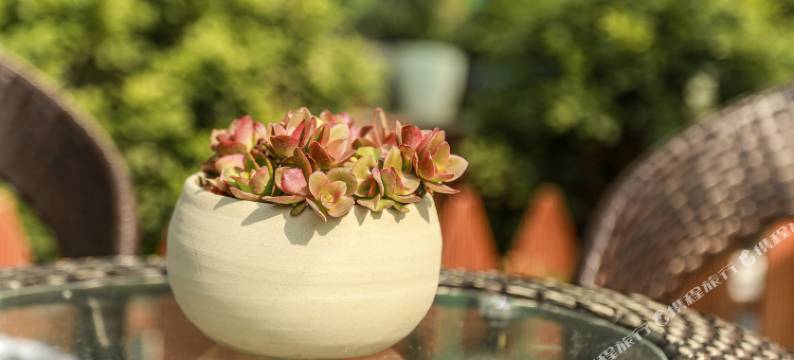 缙云初见仙都民宿图片