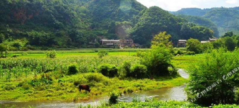 广南世外桃源大酒店图片