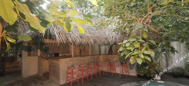塞米亚克 Kosta 青年旅舍(Kosta Hostel Seminyak)图片