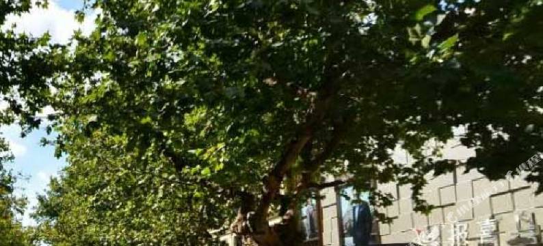 嘉兴有家宾馆图片