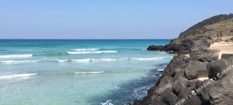济州岛海鸥鸟巢民宿(Nest of the Gull House Jeju)图片