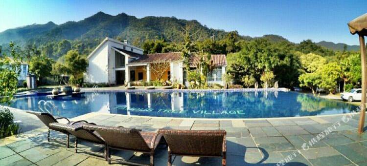 肇庆慢舍避世山居图片