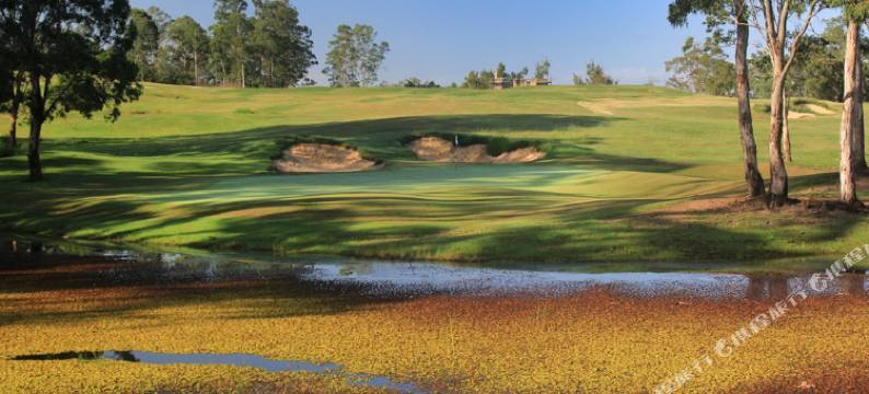 临江奥克斯高尔夫度假村(Riverside Oaks Golf Resort)图片