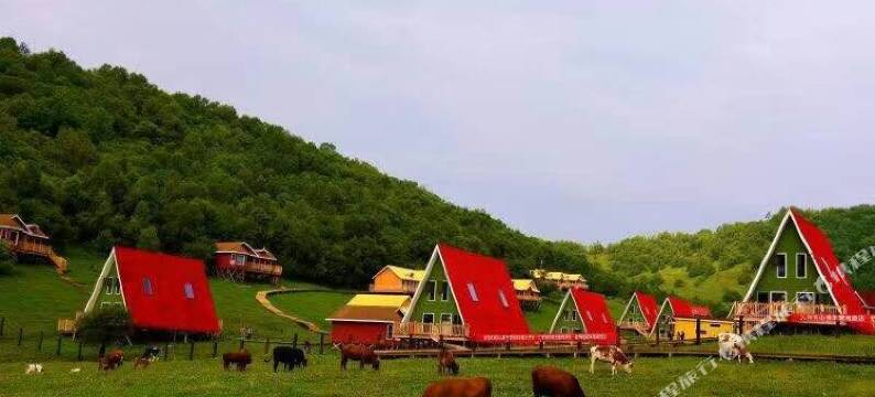 关山草原房车营地图片