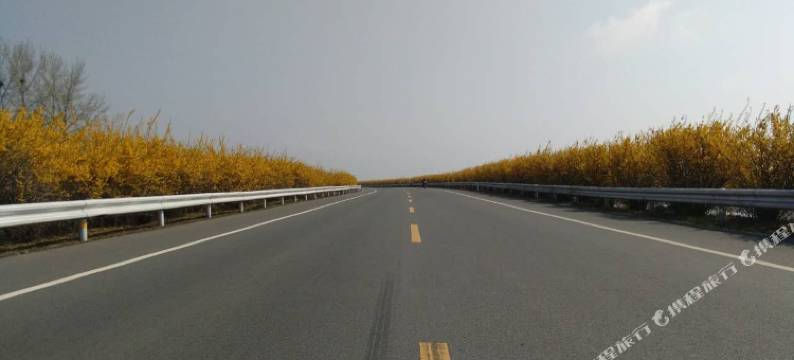 丹东桃花源生态园图片