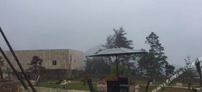 文成隐心谷树屋酒店图片