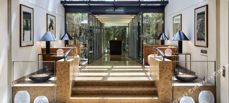 曼陀罗酒店，Design Hotels 成员(The Mandala Hotel Berlin, a Member of Design Hotels)图片