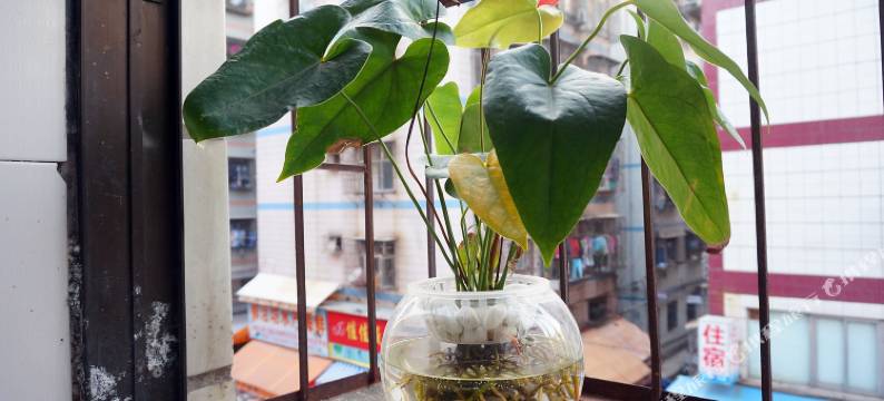 深圳涂记住宿图片