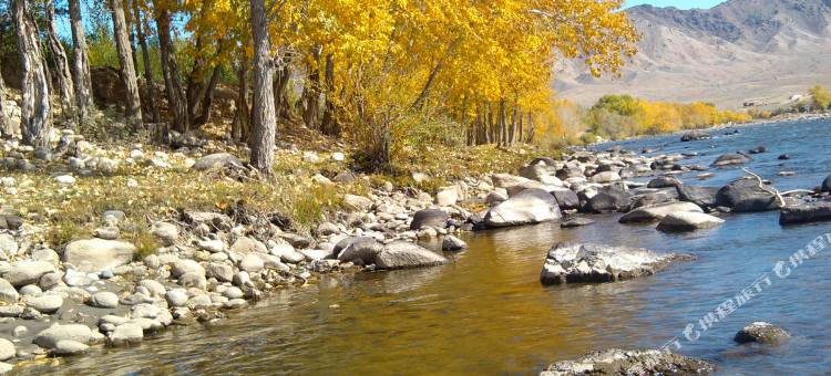 世纪星酒店(富蕴步行街店)图片