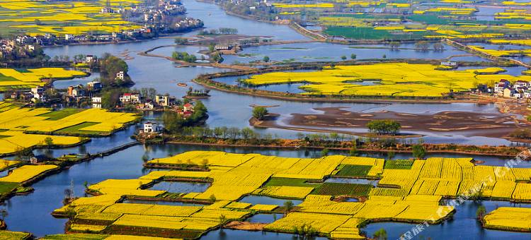 锦江之星品尚(繁昌大润发商业广场店)图片