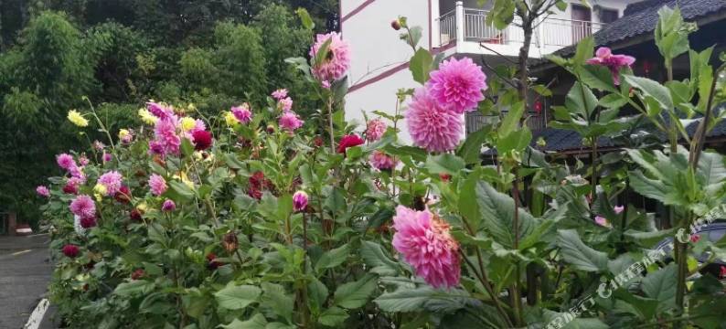 雅安四维山庄图片