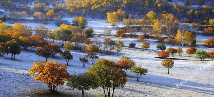 乌兰布统景区千里马庄园图片