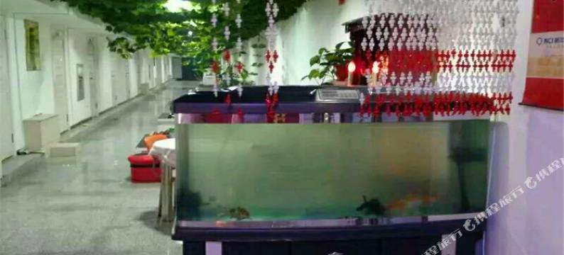 蛟河佳旭时尚宾馆图片