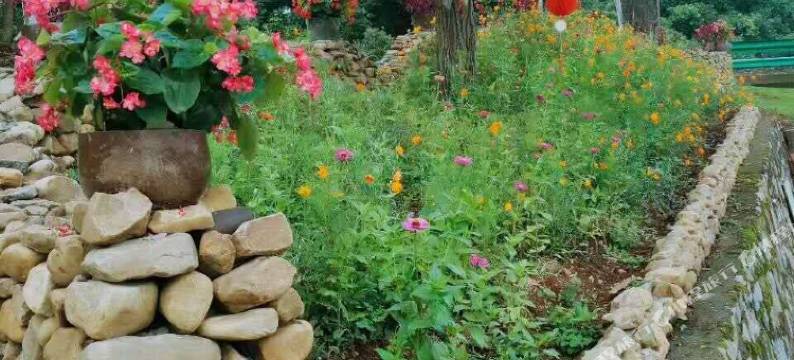 钟祥石门生态山庄图片