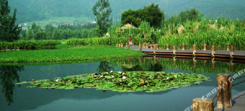 西昌福雨金舟客栈(邛海湿地店)图片