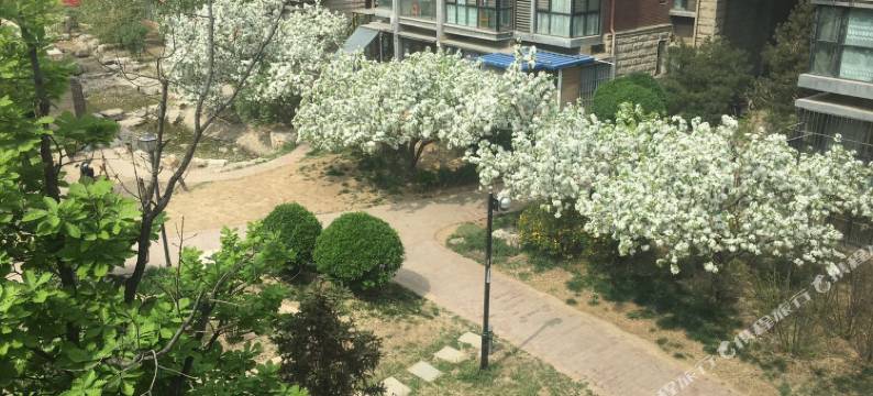 北京onenightin民宿图片