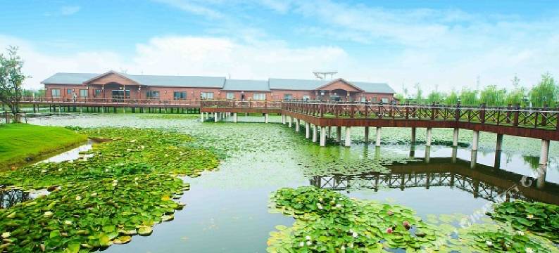 盐城梦幻迷宫度假酒店图片