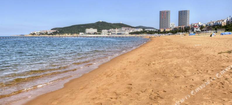 威海人间草木公寓图片