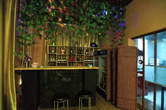 上海二师兄别墅轰趴