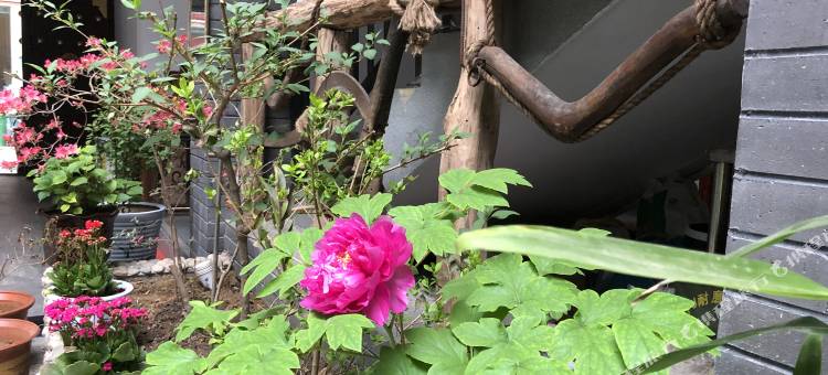 重渡沟匆匆那年回忆客栈图片