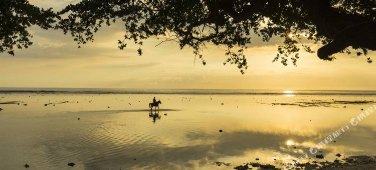 吉利柚木度假村(Gili Teak Beach Front Resort)图片