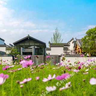 歙县卖花渔村攻略-卖花渔村门票价格多少钱-团购票价预定优惠-景点