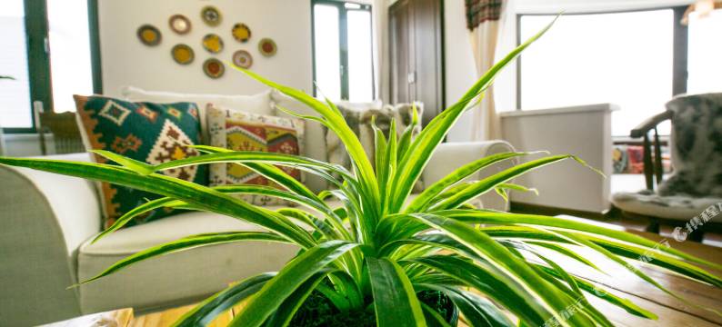 CCChen的家民宿(上海河南路桥店)图片