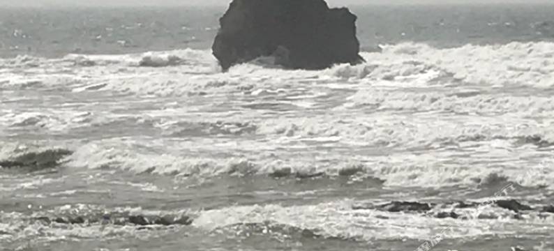 青岛有水地方公寓图片