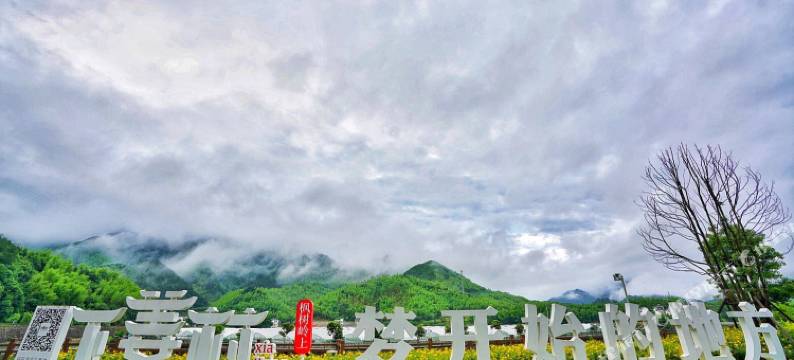 千岛湖栖舍精品民宿图片