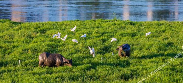 德兴大酒店图片