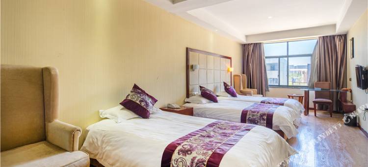 杭州澳迪斯大酒店图片