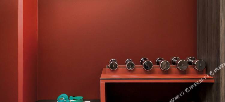 里昂中心 OKKO 酒店(OKKO Hotels Lyon Centre)图片