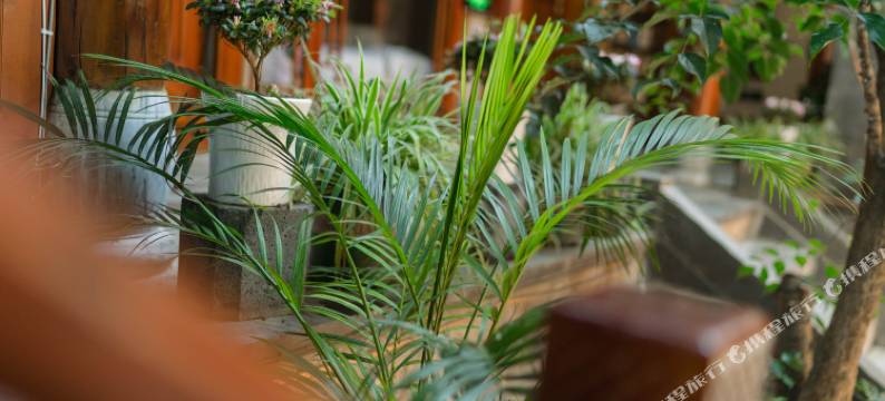 悟幽·栖泊隐客栈(腾冲和顺店)图片