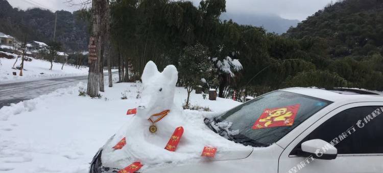 宁国桃湾山庄图片