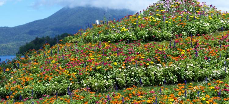 阿寒游久之里鹤雅(Akan Yuku No Sato Tsuruga)图片